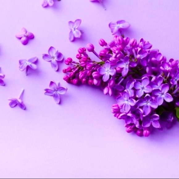 Meet your Posher, Yaris - Picture 1 of 1